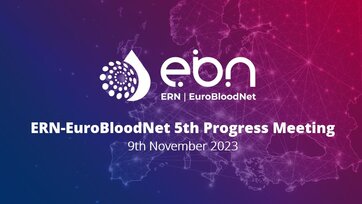 Discover all the details of the 5th ERN-EuroBloodNet Progress Meeting