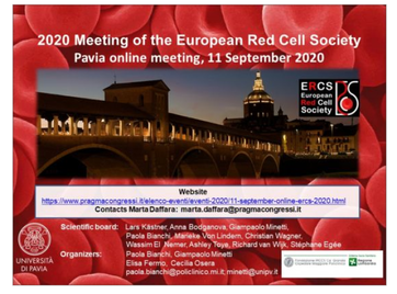 Attend the next online meeting of the European Red Cell Society: “The Horizons in Red Cell Research” !