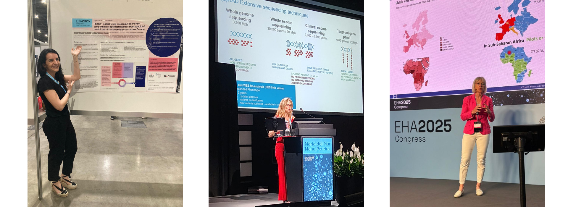 Linkedin EuroBloodNet (1920 x 900 px) (1).png (1920×700)