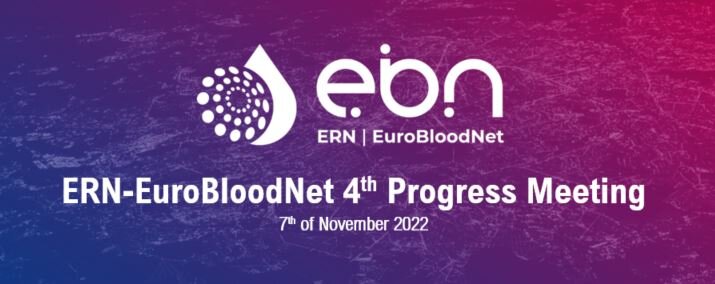 The 4rth ERN-EuroBloodNet Progress meeting took place on 7th of November 2022!