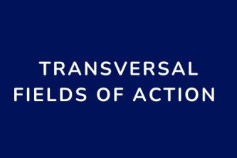 Transversal fields of action