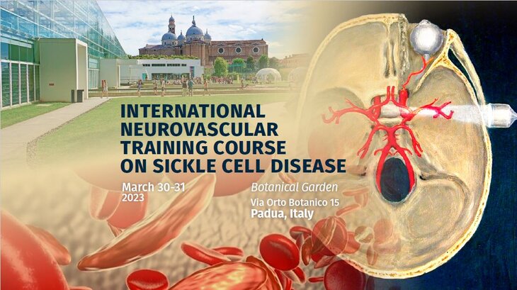 REGISTRATION DEADLINE EXTENDED (6th March): Attend the International Neurovascular Training Course on Sickle Cell Disease!