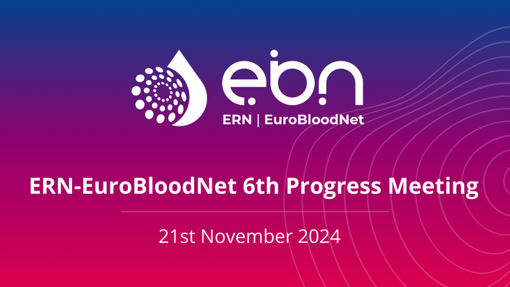 Save the date! The 6th ERN-EuroBloodNet Progress Meeting will be held on 21 November 2024