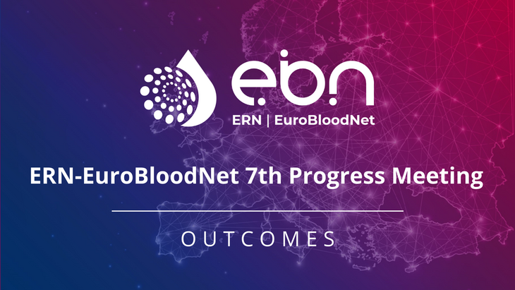 Discover the highlights from the ERN-EuroBloodNet 7th Progress Meeting!