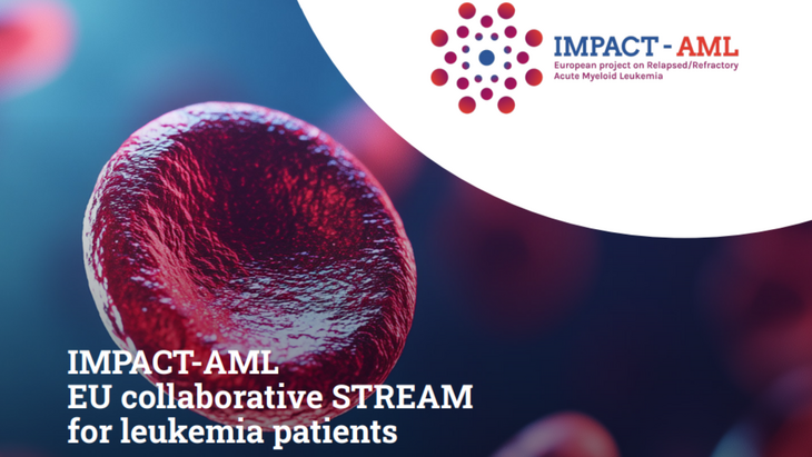 STREAM: A European real-world data platform for Relapsed/Refractory Acute Myeloid Leukemia