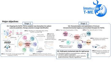 ERN-EuroBloodNet contributes to the ImmuneT-ME consortium