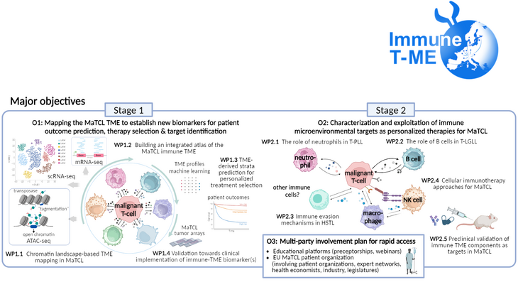 ERN-EuroBloodNet contributes to the ImmuneT-ME consortium