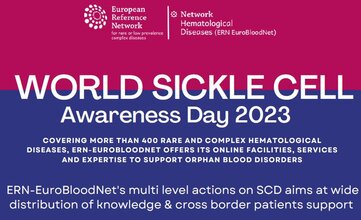 Click on the interactive ERN-EuroBloodNet poster for celebrating the 2023 World Sickle Cell Day!