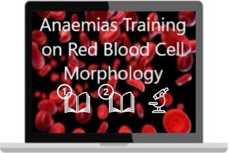 Anaemias Training on Red Blood Cell Morphology