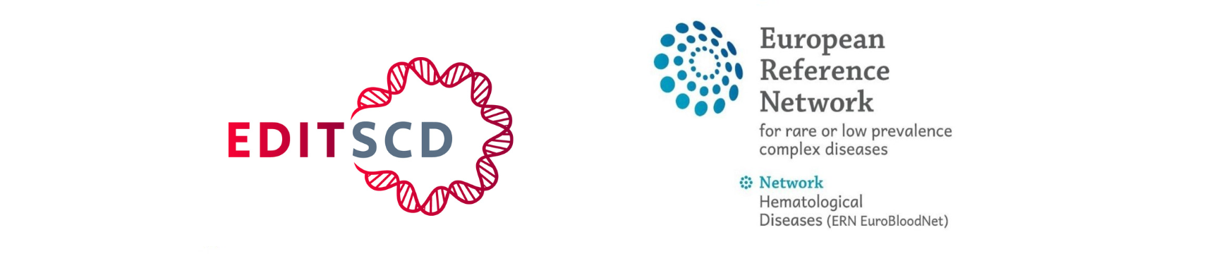 EDITSCD & ERN-EuroBloodNet Focus on Genetic Therapy for people living ...